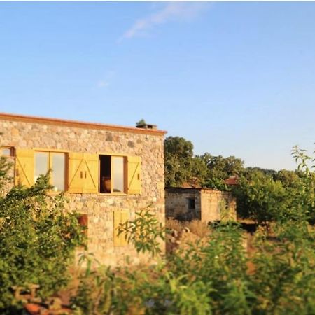 Unique Hotel Room Surrounded By Nature Close To Assos Ancient City In Ayvacik Canakkale Sazli Exterior photo