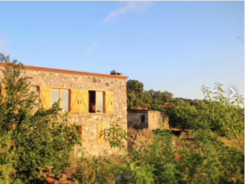 Unique Hotel Room Surrounded By Nature Close To Assos Ancient City In Ayvacik Canakkale Sazli Exterior photo